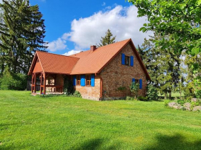 Wyspa Świerków in Śluza